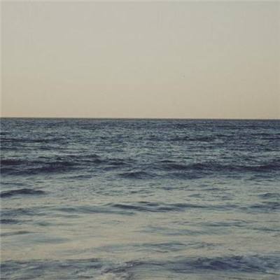 半岛手机综合体育官方下载安装